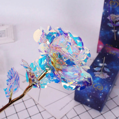 24K Galaxy Rose