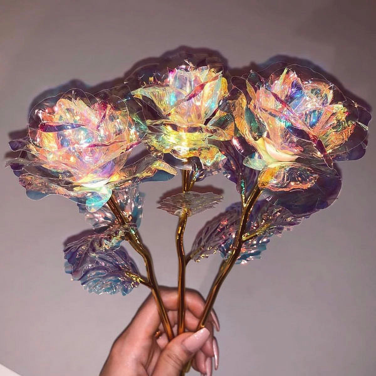 24K Galaxy Rose